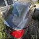 JNKBV61E98M203205 2008 Infiniti G35 Journey auction photo thumbnail 4
