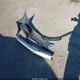 KMHGN4JE7GU142684 2016 Hyundai Genesis 3.8 auction photo thumbnail 12