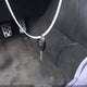 JTHBD192720061189 2002 Lexus Is 300 Base W/5-Speed Manual auction photo thumbnail 11