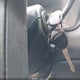 1GCEC19W52Z117677 2002 Chevrolet Silverado 1500 auction photo thumbnail 11