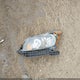 1HGCP2F72AA166865 2010 Honda Accord 2.4 Ex auction photo thumbnail 12
