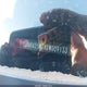 JN8AS5MT8DW009133 2013 Nissan Rogue Sv W/Sl Pkg auction photo thumbnail 9