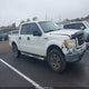 1FTEW1E88AFC77969 2010 Ford F-150 Xl/Xlt auction photo thumbnail 13