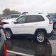 1C4PJLCB4LD552902 2020 Jeep Cherokee Latitude Fwd auction photo thumbnail 15