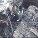 5NMS2CAD7KH035403 2019 Hyundai Santa Fe Se auction photo thumbnail 11