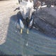 WB10A1508JZ379318 2018 BMW R1200 Rs auction photo thumbnail 5
