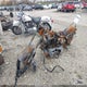 1HD1BAK14CY017575 1982 Harley-Davidson Fxe auction photo thumbnail 2
