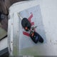 1FMCU0GX8EUB29961 2014 Ford Escape Se auction photo thumbnail 11