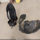 KNDPUCAG7P7017055 2023 Kia Sportage Hybrid Lx auction photo thumbnail 11