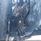 KNMAT2MT3JP568991 2018 Nissan Rogue Sv auction photo thumbnail 12