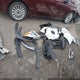 JN8AY2NC1J9553575 2018 Nissan Armada Sl auction photo thumbnail 11