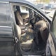 5XYZW3LA2DG078095 2013 Hyundai Santa Fe Sport 2.0T auction photo thumbnail 5
