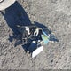 JHMES16532S000105 2002 Honda Civic Lx auction photo thumbnail 11