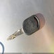 1FTPW14544KD34695 2004 Ford F-150 Fx4/Lariat/Xlt auction photo thumbnail 11