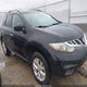 JN8AZ1MW6BW171967 2011 Nissan Murano Sv auction photo thumbnail 15