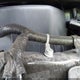 1C4PJLDB2JD563277 2018 Jeep Cherokee Limited Fwd auction photo thumbnail 10