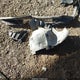 KMHL64JA9MA166734 2021 Hyundai Sonata Sel auction photo thumbnail 12