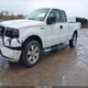 1FTRX14W68FC04723 2008 Ford F-150 Stx/Xl/Xlt auction photo thumbnail 2