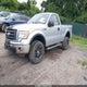 1FTRF14W49KB67005 2009 Ford F-150 Stx/Xl/Xlt auction photo thumbnail 2