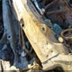 1C3CDFEB9GD645445 2016 Dodge Dart Gt auction photo thumbnail 9