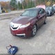 19UUA86569A008600 2009 Acura Tl 3.5 auction photo thumbnail 2
