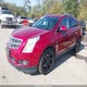 3GYFNCEY9BS596257 2011 Cadillac Srx Premium Collection auction photo thumbnail 2