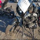 1HD1LC313DC404348 2013 Harley-Davidson Xl1200 Forty-Eight auction photo thumbnail 2