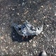 2T3C1RFV2KW036787 2019 Toyota Rav4 Xle Premium auction photo thumbnail 12