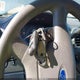 1FMFU16L04LA43940 2004 Ford Expedition Nbx/Xlt auction photo thumbnail 11