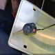 1FAHP24W18G159661 2008 Ford Taurus Sel auction photo thumbnail 11