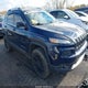 1C4PJMDS5GW123931 2016 Jeep Cherokee Limited auction photo thumbnail 1