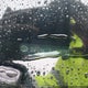 5NPD84LF8LH628980 2020 Hyundai Elantra Value Edition auction photo thumbnail 18