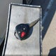 JTDBT4K34B4082468 2011 Toyota Yaris auction photo thumbnail 11