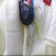1FAHP3E29CL232597 2012 Ford Focus S auction photo thumbnail 11