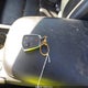 1GYKNERS7HZ310904 2017 Cadillac Xt5 Premium Luxury auction photo thumbnail 11