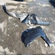 5TFTX4CN9FX053593 2015 Toyota Tacoma auction photo thumbnail 12