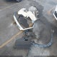 5FNYF5H37LB016876 2020 Honda Pilot 2Wd Ex auction photo thumbnail 12