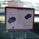 5YJ3E1EA4LF613671 2020 Tesla Model 3 Standard Range Plus Rear-Wheel Drive/Standard Range Rear-Wheel Drive auction photo thumbnail 17
