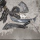 3KPF24AD6RE741836 2024 Kia Forte Lxs auction photo thumbnail 12