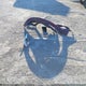 KMHGC4DDXDU221545 2013 Hyundai Genesis 3.8 auction photo thumbnail 12