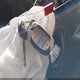 5NPD84LF6HH177989 2017 Hyundai Elantra Value Edition auction photo thumbnail 11