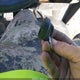 4XARSB990K8898285 2019 Polaris Ranger Crew Xp 1000 Back Country Edition auction photo thumbnail 11