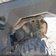 4XARSB990K8898285 2019 Polaris Ranger Crew Xp 1000 Back Country Edition auction photo thumbnail 9