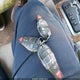 1J4RR5GT6AC102598 2010 Jeep Grand Cherokee Limited auction photo thumbnail 11