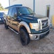 1FTFW1CF1DKE10315 2013 Ford F-150 Xlt auction photo thumbnail 1