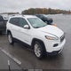 1C4PJMDS3HW501472 2017 Jeep Cherokee Limited auction photo thumbnail 1