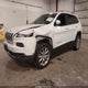 1C4PJMDX6JD522314 2018 Jeep Cherokee Limited 4X4 auction photo thumbnail 2
