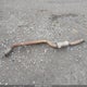 ZASFAKAN2J7B95077 2018 Alfa Romeo Stelvio Awd auction photo thumbnail 18