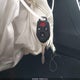 JF1GPAA64F8201712 2015 Subaru Impreza 2.0I auction photo thumbnail 11
