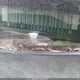2G1WF52EX49327637 2004 Chevrolet Impala auction photo thumbnail 9